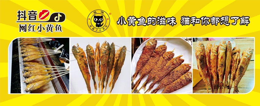 夜猫子小黄鱼培训图片