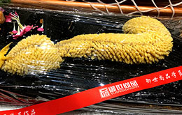 学员厨师简餐作品