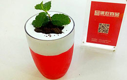 茶饮冰淇淋作品